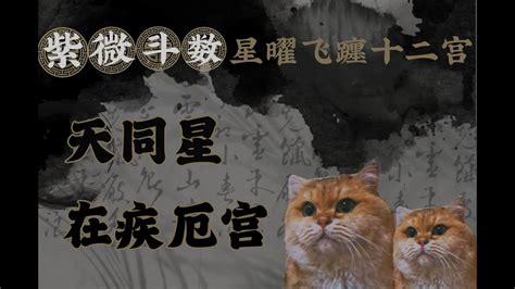 疾惡宮|紫微斗數：疾厄宮的意義是什麼